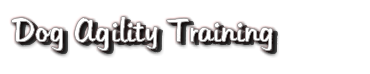 Dog Agility Training