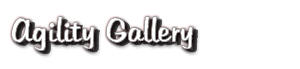 Agility Gallery